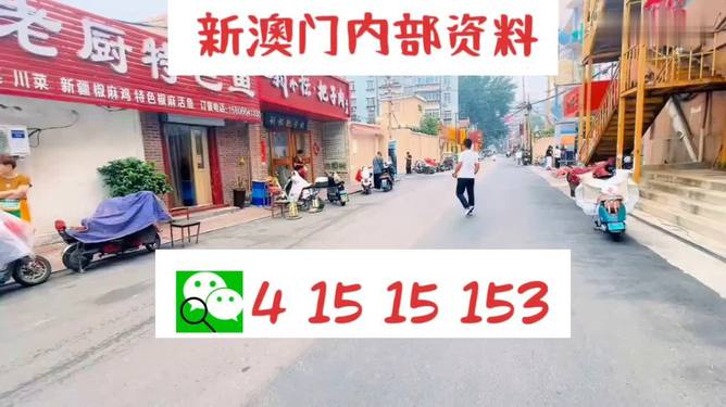 2024澳门天天开好彩大全下载,深入执行方案数据_app88.869